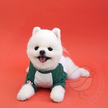 새임 토크티셔츠 2XL 멍멍이옷 귀여운강아지옷 고양이티셔츠, 블루