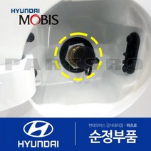 순정 LPG 차량 주유구 충전구 캡 충전뚜껑 마개 (검정색), 1개