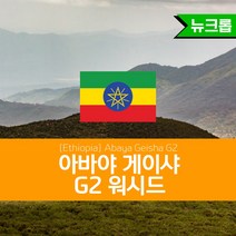 에티오피아 생두 아바야 게이샤 G2 워시드 Abaya Geisha G2, 1KG, 1kg, 1개