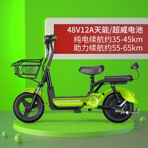 고성능 전기 자전거 100KM 48V 전자 2인승 보조 좌석 전동자전거 배달용, 녹색12A슈퍼웨이트천재배터리65km