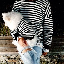 강아지커플룩 강아지 커플티 커플옷 애견 반려견 단가라 스트라이프 보호자 세트 견주옷 봄 가을 남자 남성 남녀 남여 공용 하비리아, 핑크