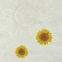 벽지플러스 접착식 단열실크벽지 폼블럭 벽지 시트지 붙이는벽지, 라이즈노란해바라기