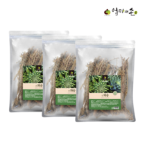 건와송 와송차 국산 말린 와송 원물 건재 3팩