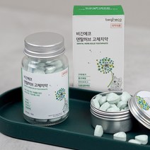 비긴에코 덴탈허브 고체치약 60정 유리병 씹는치약 의약외품 가글대용 간편휴대, 단품