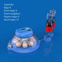 병아리 부화기 완전 자동 지능형 110 전기 인큐베이터 계란 브로더 닭 오리 DC 12V 또는 AC 220V 8 개 12/16, AU Plug, Option A 8 eggs