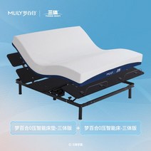 모션 베드 각도조절 침대 [세 몸 공동 이름] 드림 릴리 지능형 전기 다기능 현대 간단한 침실 더블 하이 엔드 소프트 매트리스, 1500mm 2000mm, 삼체 관절 명칭 스마트 침대