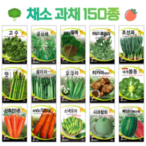 쌈 채소 씨앗 모음 고수 공심채 루꼴라 궁채나물 상추씨 동남아 종자, 7. 이탈리안파슬리 1000립