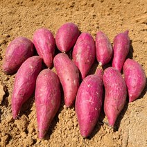 전남 무안 황토 꿀밤고구마, 5kg (두입), 1개