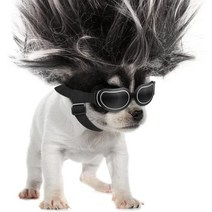강아지 귀통풍 귤모자 쿨조끼 고글 프로펠러 모자 썬캡 바람개비 개 선글라스 조절 가능한 밴드가 있는 작은 개 고글 방수 방풍 방설 패션 및 강아지와 고양이를 위한 멋진 안경, 검은색