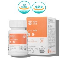 비헴철 약국 출산후 임신 초기 여성 30대 40대 여자 철분 철분제 영양제 헴철, 비헴철 철분제 60정 x1통