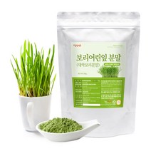 갑당약초 국내산 새싹보리분말 300g (보리어린잎분말), 1봉