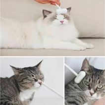 고양이마사지 브러쉬 쓰담, 블루