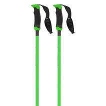 아토믹 스키폴대 Atomic 폴란드 Redster X Carbon SQS, 115cm 그린/카본