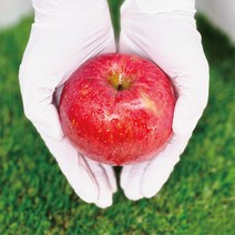 [당도선별] 청산도실 영주 꿀 사과 5kg/10kg, 가정용, 정품+흠과 (34~46과) 10kg