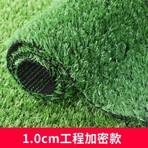 인테리어 인조 잔디 카펫 카페트 셀프리모델링 홈, 1.0cm엔지니어링암호화전체볼륨50평방제로절단