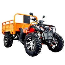 휠체어용 4 륜 4x4 오프로드 바이크 오토바이 250cc 300cc 지형 샤프트 드라이브 가솔린 전기 농장 ATVs 성인용, [01] Deposit