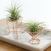 골드 메탈 이오난사화분 (티라이트홀더), 원형