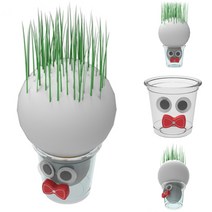 꼬마 잔디 인형 만들기 (1개) 식물 재배 키우기 관찰 키트 DIY 실험 생명 과학 학습 교구
