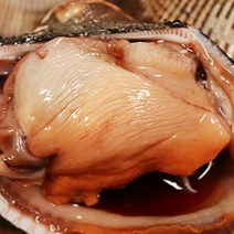 왕피꼬막 왕피조개 1kg 2kg 피조개 제철 피꼬막, 피조개2kg 6-14미