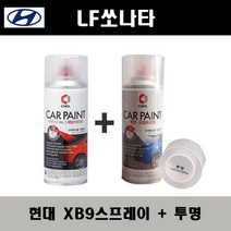 현대 LF쏘나타 XB9 바이오필릭블루 주문스프레이 + 투명스프레이 자동차 도색 차량용 카페인트, XB9 스프레이(제일)+투명스프레이(제일)
