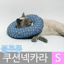 모모민트 블루똥 쿠션 넥카라 소S, 1개