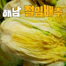 산지직송 속이꽉찬 달큰한 해남 절임배추 20kg, 11월 14일(월)발송(화)도착 절임배추 20kg