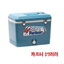 대원 아이스박스17리터 (색상랜덤) 낚시용 캠핑용