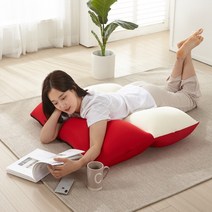 빨아쓰는쿠션 대형등쿠션 허리받침대 큰베개 침대등쿠션 대형등받이쿠션 침대등받이쿠션, 레드형