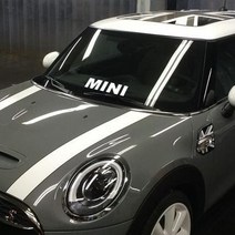 미니쿠퍼 자동차 MINI 포인트 차량용 스티커, MINI-S, 골드, 1개