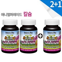 2+1 애니멀퍼레이드 칼슘 / 키즈칼슘 어린이칼슘제, 2+1 (총 3개)