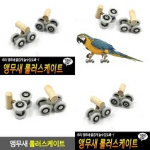 TWKL 앵무새 롤러스케이트