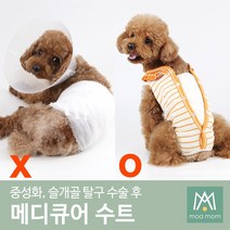 강아지 환견복 중성화수술복 중성화옷 중성화복 메디큐어수트, 샴록 그린