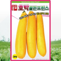 골든프린스 호박 씨앗 호박 씨 종자 30립, 1개