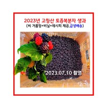 2023년 햇 고창산 토종 복분자 5kg 생과(거름망+비닐+레시피 제공) -5KG 1개 상품임 - 30개라는 숫자는 시스템 오류, 30개