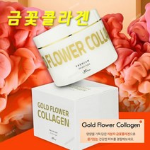 금꽃콜라겐 80g + 선물증정 얼굴 피부 노화 주름 리프팅 탄력 항노화 이너뷰티 피부 영양제 바르는 저분자 콜라겐 파우더 가루, 80g 1개