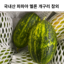 올해 첫 수확 파파야 메론 멜론 2kg(3-7과) 3kg(5-9과) 5kg(8-15과) 개구리 참외 개구리참외 파파야멜론 파파야메론 국내산 국산 국산메론 국산멜론