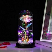유리돔 인테리어소품 홀로그램 무드등_기타 프로포즈