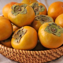 산지직송 [맛딜]아삭아삭 진영 단감 5kg/중 25과 내외, 단품없음