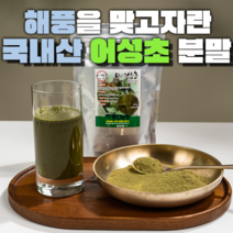 팜티비 어성초 분말 국내산100% 어성초 가루 차, 200g x 2봉