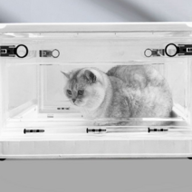 고급형 강아지 고양이 산소방 네블라이저 셀프 치료, 대형 분무 상자 25세 미만의 반려동물