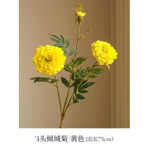 센픽 조화 버터플라이꽃 갈대 양귀비 미니 꽃다발 폼폼국화 36 동백꽃 버들강아지 자작나무가지, 노랑