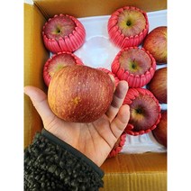 DMZ연천사과 부사사과, 10kg 미니