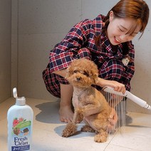 강아지약용샴푸 비숑 푸들 말티즈 천연샴푸 린스 애견샴푸, 7-4.필루 - 민감성피부 퍼피샴푸