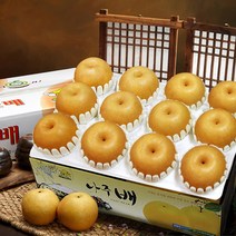 소담촌 나주배 7.5kg(가정용), 순차발송, 7.5kg(11~12과)가정용