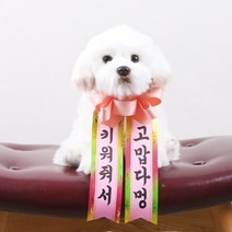 갓샵 인간화환 당일발송ver 대형 졸업 결혼식 생일