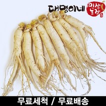 인삼수삼 오쿠1회분 원삼믹서 세척 8뿌리내외 250g 대명이네인삼