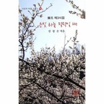 은빛 하늘 펄럭일 때 24 시인의마을 시인선, 상품명