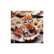 영덕 반건조오징어(대)10미 1010-1300g, 단일옵션