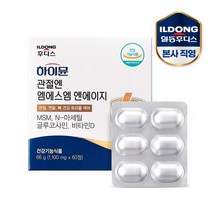 하이뮨 관절엔 MSM NAG 1 100mgx60정 / 1박스, 없음