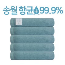 송월타월 항균 무지 수건 150g 30수 고급 호텔수건 세면 목욕타올, (항균150g) 터키스, 5개